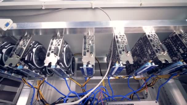 Grafikkarten Mit Dem Bauernhof Computer Fur Bitcoin Mining Verbunden 4k - 